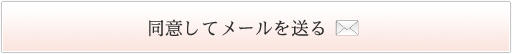 同意してメールを送る